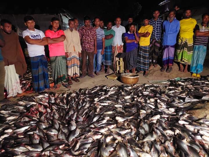 গোবিন্দগঞ্জে পুকুরে বিশ প্রয়োগ ৫ লাখ টাকার মাছ নিধন