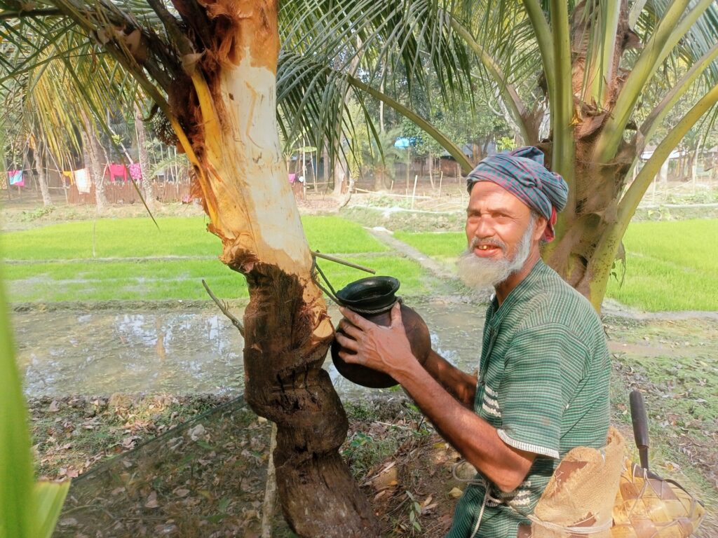ছবি- কেশবপুরে বেলকাটি গ্রামের গাছি কুদ্দুস খেজুরের রস সংগ্রহে ব্যস্ত সময় পার করছে।