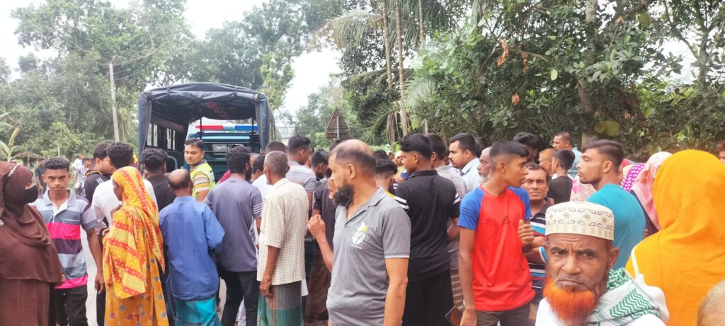 শার্শায় ট্রাকের ধাক্কায় অটোভ্যান চালক নিহত