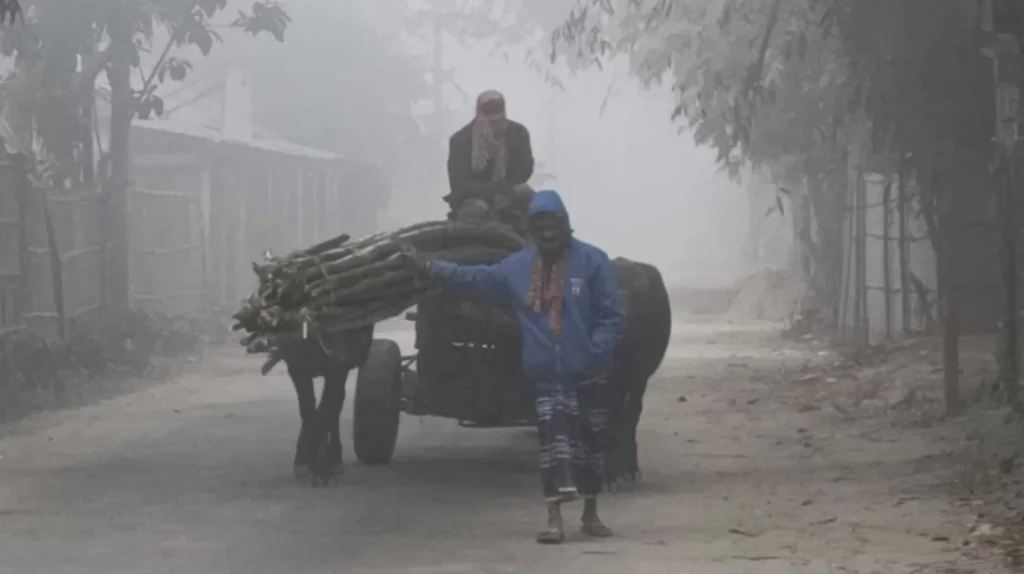 শীতের প্রকোপ শুরু ২ জেলায় শৈত্যপ্রবাহ