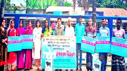 নন্দীগ্রামে ক্ষুদ্র নৃ-গোষ্ঠীদের মাঝে গরুর উপকরণ বিতরণ
