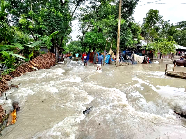 ভোলায় উপকূলীয় এলাকার গ্রামগুলো পানিতে তলিয়ে ভেসে গেছে গবাদীপশু