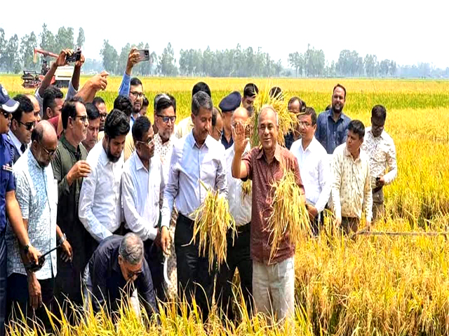 সীমান্তএলাকায় নির্বিঘ্নে ধান কাটতে পারবে কৃষকঃ কৃষি ও স্বরাষ্ট্র উপদেষ্টা
