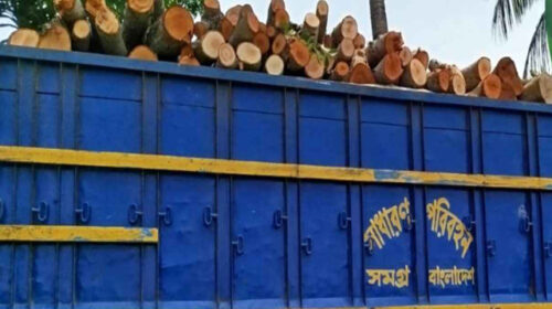 নড়াইলে গাছ বিক্রির অভিযোগে ১৩ জনের নামে মামলা