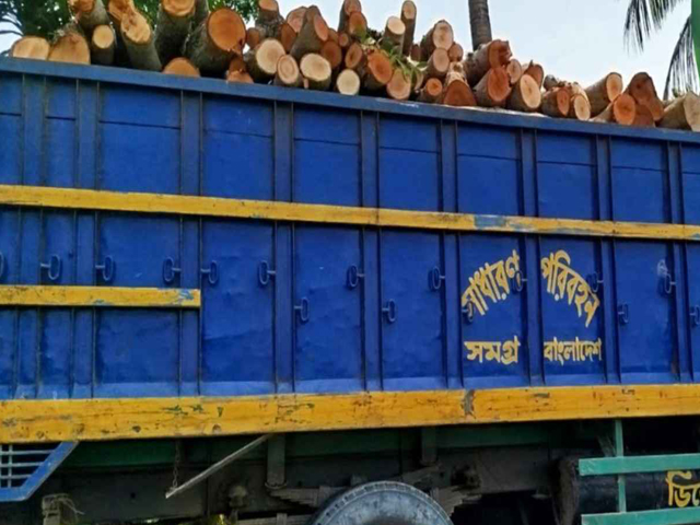 নড়াইলে গাছ বিক্রির অভিযোগে ১৩ জনের নামে মামলা