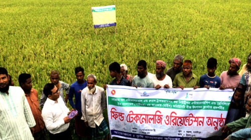 দিনাজপুরে ফিল্ড টেকনোলজি ওরিয়েন্টেশন কর্মশালা অনুষ্ঠিত