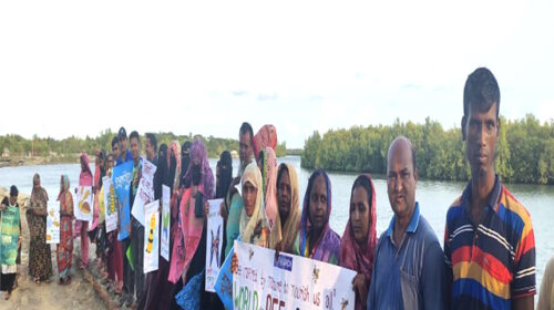 শ্যামনগরে বিশ্ব মৌমাছি দিবস উদযাপন