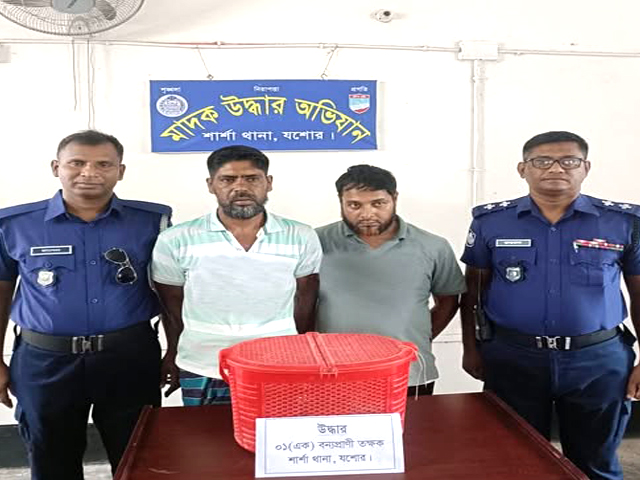 শার্শায় বন্যপ্রানী তক্ষকসহ গ্রেফতার-২