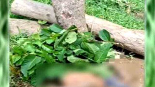 রাউজানে নদীর পাড় থেকে যুবকের লাশ উদ্ধার
