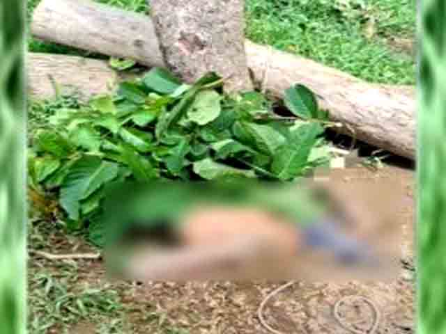 রাউজানে নদীর পাড় থেকে যুবকের লাশ উদ্ধার