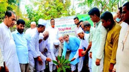 মাইজভাণ্ডারী গাউসিয়া কমিটির মাসব্যাপী বৃক্ষ রোপণ কর্মসূচির উদ্বোধন
