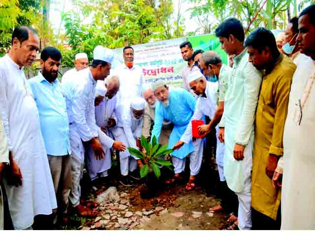 মাইজভাণ্ডারী গাউসিয়া কমিটির মাসব্যাপী বৃক্ষ রোপণ কর্মসূচির উদ্বোধন