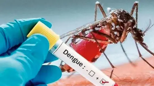 একদিনে ডেঙ্গুতে আক্রান্ত ৪২৯জন