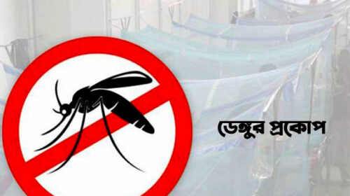 ডেঙ্গু আক্রান্ত হয়ে এক দিনে ৩৯৩ জন হাসপাতালে ভর্তি