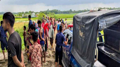 নড়াইলে বৃদ্ধকে কুপিয়ে হত্যা