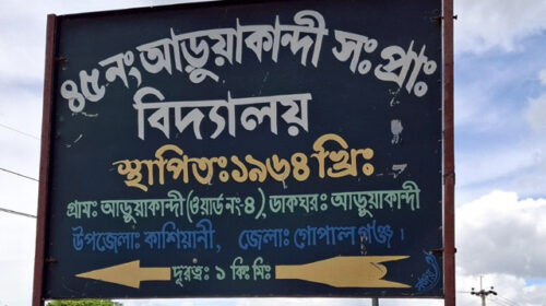 কাশিয়ানীতে টেন্ডার ছাড়াই স্কুলের ঘর বিক্রির অভিযোগ