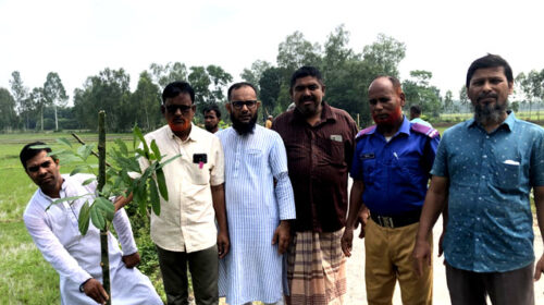 গণ অভ্যুত্থানে শহীদদের স্মরণে শঙ্করপুর ইউনিয়নে বৃক্ষ রোপন