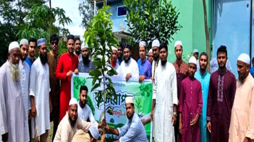 নন্দীগ্রামে প্রত্যাশা ফাউন্ডেশনের সপ্তাব্যাপী বৃক্ষরোপণ কর্মসূচী পালন