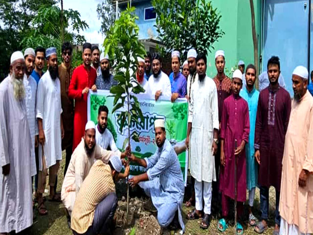 নন্দীগ্রামে প্রত্যাশা ফাউন্ডেশনের সপ্তাব্যাপী বৃক্ষরোপণ কর্মসূচী পালন
