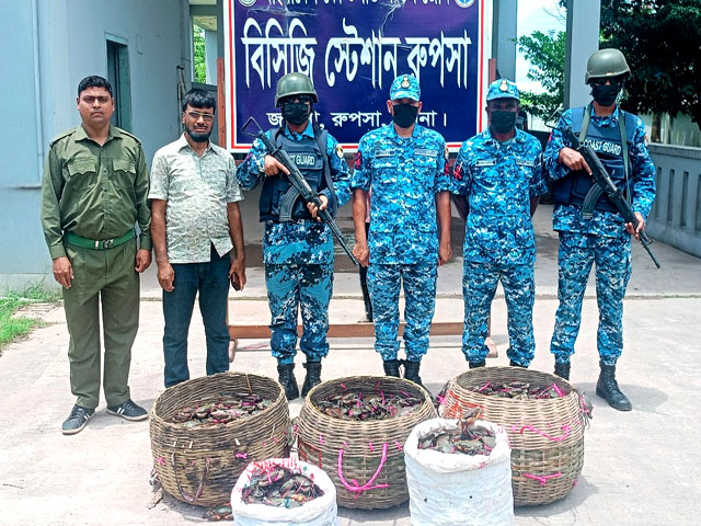 খুলনায় কোস্ট গার্ডের বিশেষ অভিযানে কাঁকড়া জব্দ