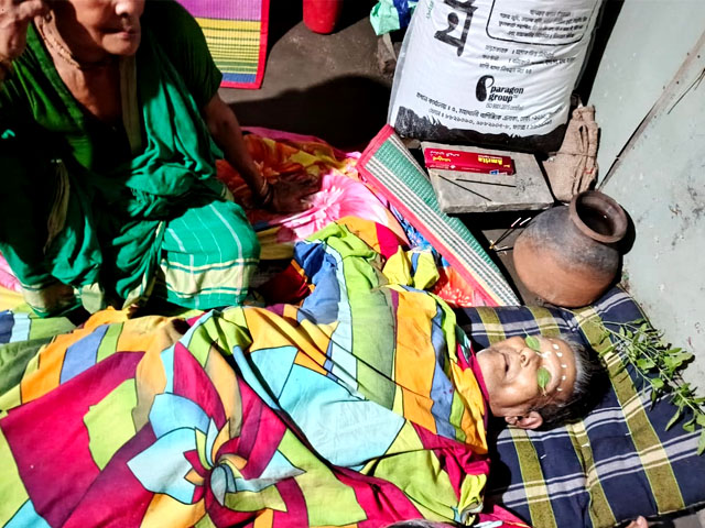 দুমকির মুরাদীয়ায় সাপের কামড়ে বৃদ্ধের মৃত্যু