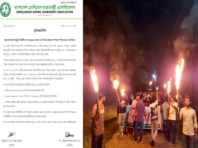 বাহার বিবৃতিকে প্রত্যাখান করে পবিপ্রবির শিক্ষার্থীদের মশাল মিছিল ও মোমবাতি প্রজ্বলন
