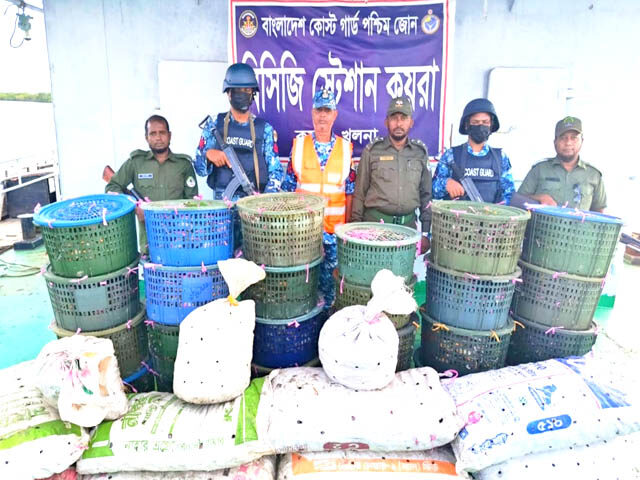 কোস্ট গার্ডের অভিযানে ৮৫০ কেজি অবৈধ কাঁকড়া জব্দ