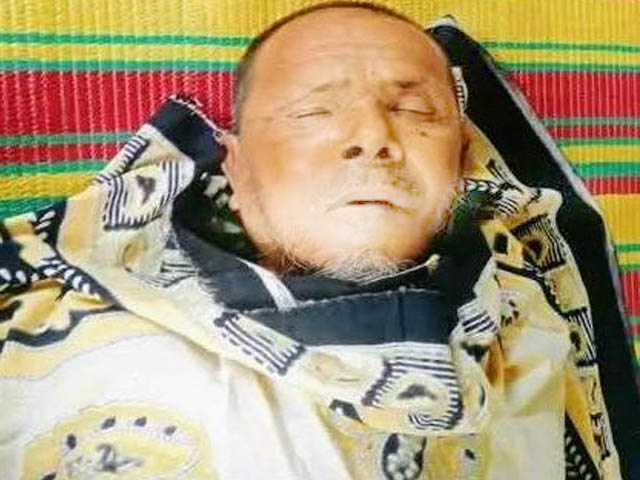 ভিমরুলের কামড়ে সাতক্ষীরায় এক কৃষকের মৃত্যু