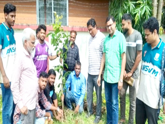 বুরো বাংলাদেশ এর উদ্যোগে পবিপ্রবির ক্যাম্পাসে বৃক্ষরোপণ কর্মসূচি পালন